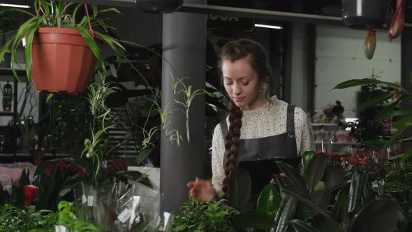 Florist Examines Plants on a Stand