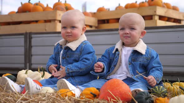 Adorable Twin Babies in Matching Denim Outfits Sitting in Hay and Pumpkins in the Pumpkin Patch