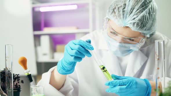 Medical Scientist Inspecting Microgreens Wearing Protective Unform Working in Laboratory