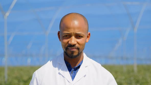 Smiling man standing in blueberry farm 4k