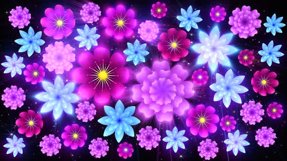 Colorful Flowers Background