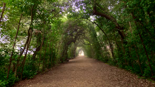 Boboli Gardens. Florence, Italy. Walking Along Shady Arched Path in Boboli Garden Park