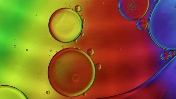 Abstract Colorful Food Oil Drops Bubbles 153
