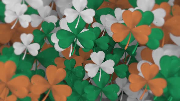 Saint Patrick's Day Shamrocks in Irish Colors Background Animation