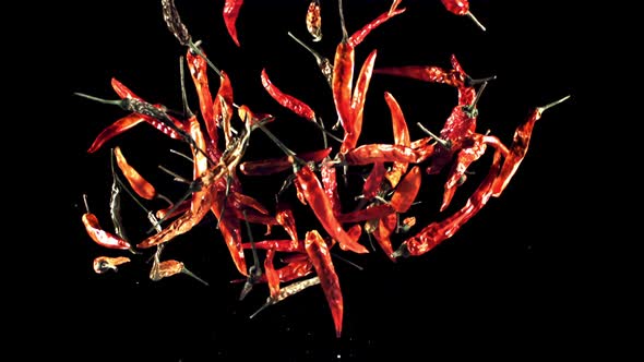 Pods of Dried Chili Peppers Fly Up and Fall Down