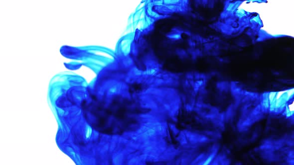 Blue ink in water, abstraction video.