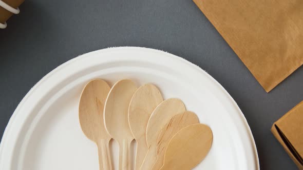 Disposable Dishes of Paper and Wood 