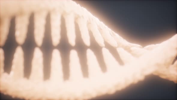 DNA Molecule on the Grey Background alt