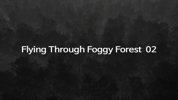 Flying Through Foggy Forest 02
