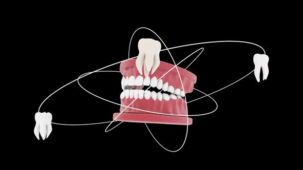 Oral Tooth Rotation