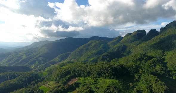 Aerial view of mountain and forest.