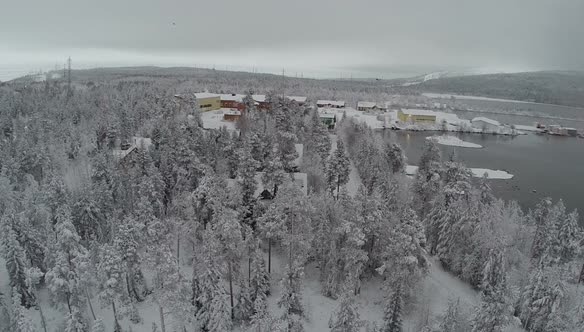 Flying over winter recreation in pine wood by water