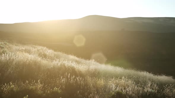 Sunset Over the Valley Fields