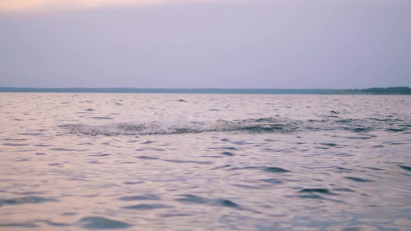 Butterfly Swimmer Is Crossing the Ocean Waters