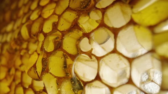 Stream of Golden Thick Honey Flowing Down on the Honeycombs