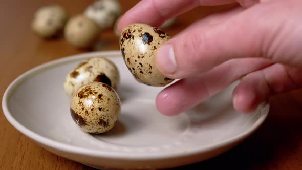 Female Hand Takes One Quail Egg From the Plate Examines It in Hand