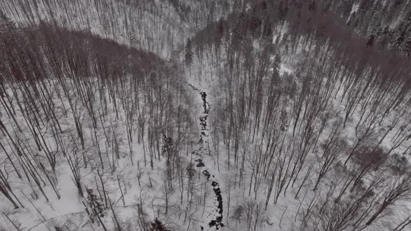 Top View of a River in the Mountains Surrounded By Forest Covered in Snow