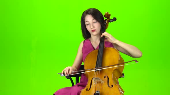 Girl in a Dress Plays the Cello