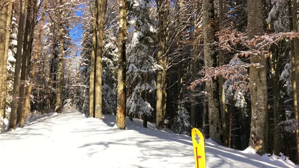 Winter Time in Mountains