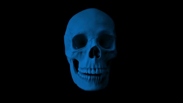 Skull Talking In The Dark Loop - Front View