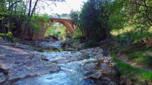 Drone Video in a Green Forest with a River and a Bridge with an Arc