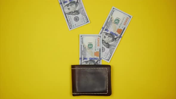 Dollars Getting Out of the Wallet. Stop Motion Animation