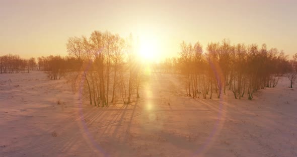 Aerial Drone View of Cold Winter Landscape with Arctic Field Trees Covered with Frost Snow and