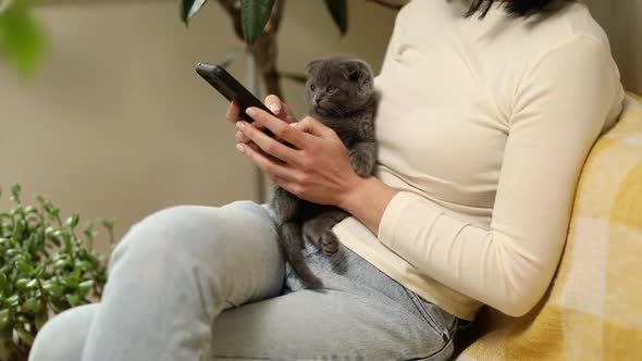 Woman with scottish kitten on the sofa using phone