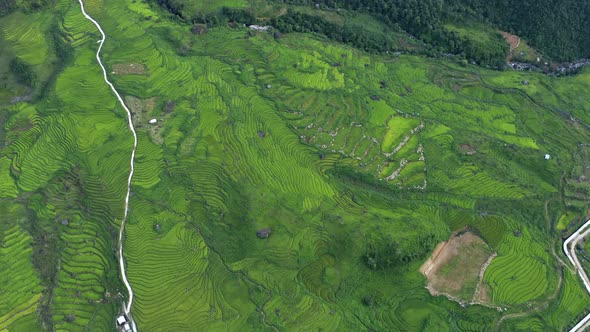 Aerial top view of Fansipan mountains with paddy rice terraces in Sapa, Vietnam.
