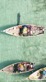 Vertical Video Boats in the Ocean Near the Coast of Zanzibar Tanzania