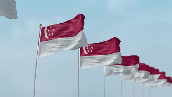 Singapore Row Of Flags 