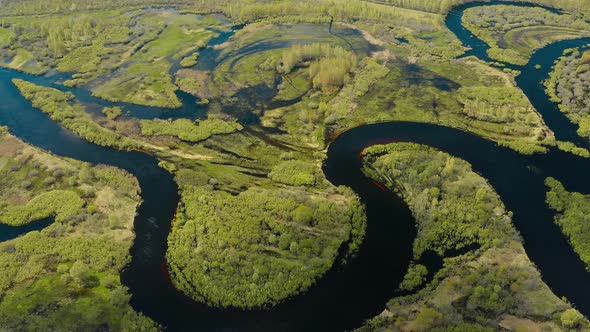 Aerial View Green Forest Woods And Curved River Landscape In Sunny Spring Day