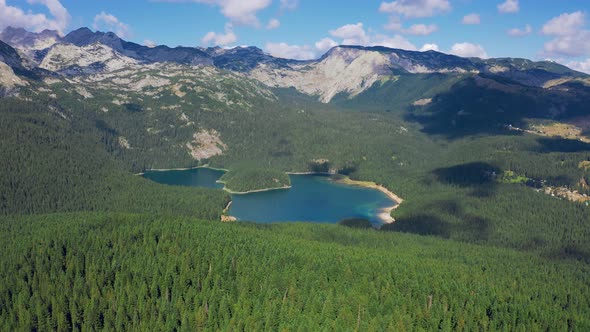 Aerial View on Turquoise Lake and Mountains with Pine Forest in National Park Durmitor Montenegro