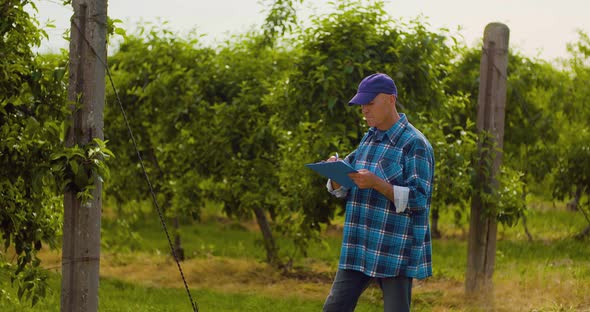 Male Researcher Looking at Trees While Writing on Clipboard