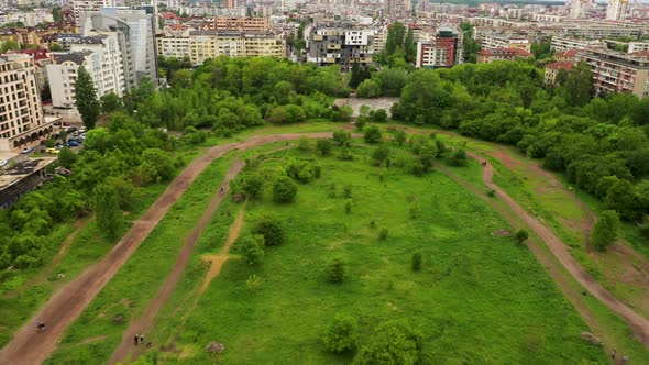 People Walking Dogs in Lush Green Dirt Bike Track in the City