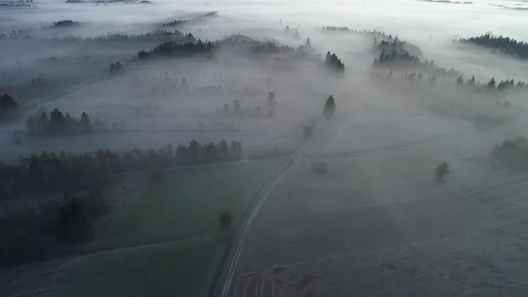 Aerial view of landscape with fog in the morning, Loisach Moor