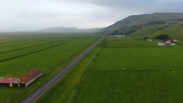 Flying over the ring road in Iceland and green fields with sheeps