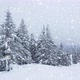 Beautiful Fluffy Snow Tree Branches - VideoHive Item for Sale