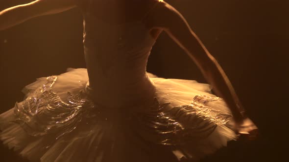 Graceful Ballerina Dancing White Swan Part. Smooth Hand Movements. Shot in a Dark Studio with Smoke