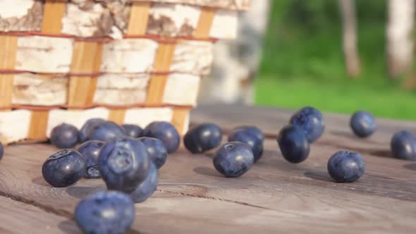 Blueberrie Fall on a Wooden Table