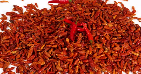 Fresh Red Chili Peppers, capsicum annuum and Bird Pepper, capsicum frutescens