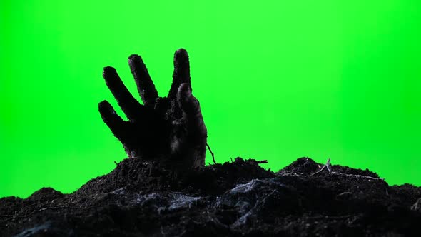 Zombie Hand Emerging From the Ground. Green Screen. 006