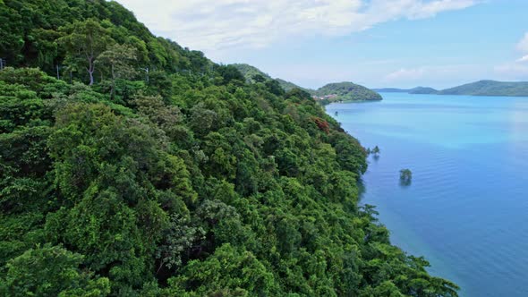 Aerial view of forest trees near the seacoast view in phuket island.Beautiful sea surface