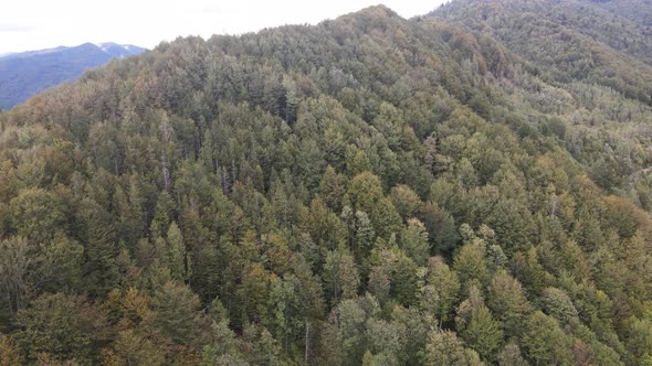 Nature of Ukraine: Carpathian Mountains Slow Motion. Aerial View