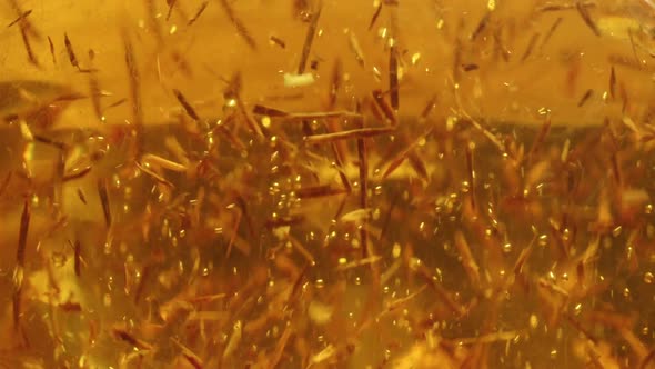 Macro Shot of Pouring Boiled Water in Tea Leaves in Glass Cup