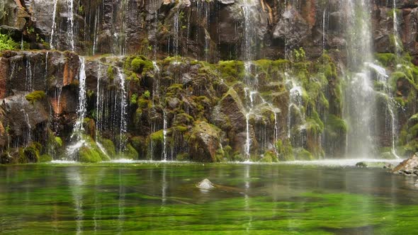 Scenic Nature of Beautiful Waterfall and Pool of Fresh Water with Green Seaplant