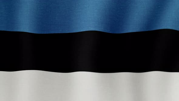 The national flag of Estonia