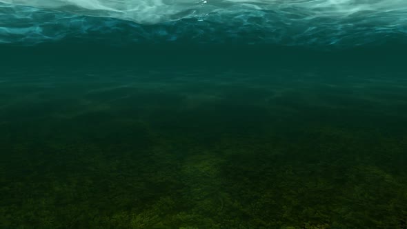 Underwater Scene