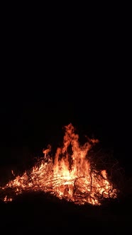 Burning Branches in the Dark