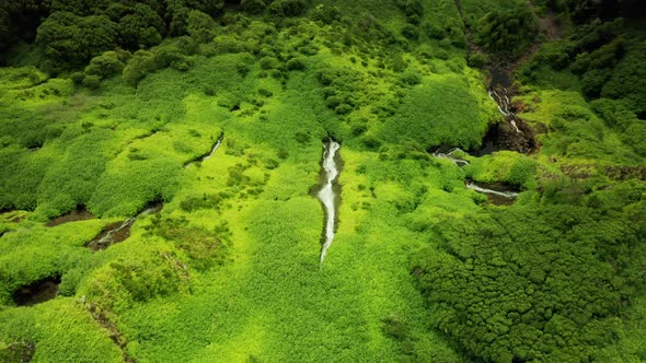 Green Waterfalls of Poco Ribeira Do Ferreiro Alagoinha Flores Island Azores